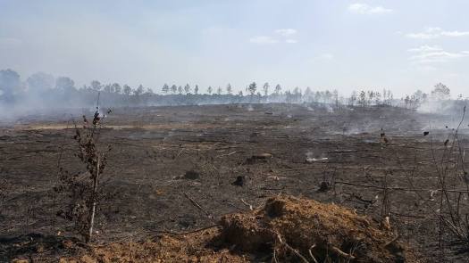 21462987_142193656385420_7764776047982847128_n